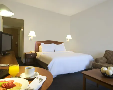 託盧卡中心嘉年華酒店 託盧卡酒店