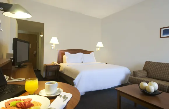 託盧卡中心嘉年華酒店