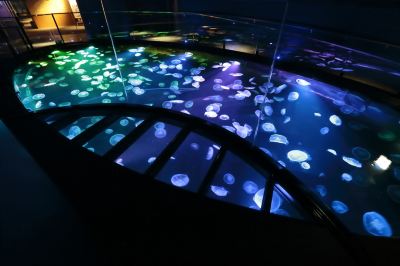 その他 第一ホテル両国の写真