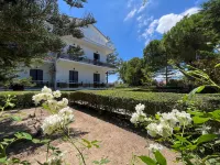 Pettas Apartments Hotels near Zakynthos International Airport