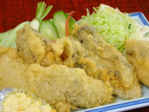 Tsuruya Ryokan فنادق في أويدا