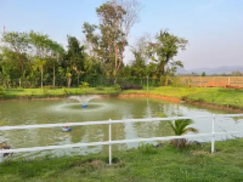 Baan Suan Mamuang Resort