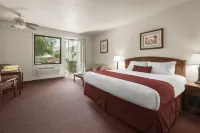 Palm Mountain Resort & Spa