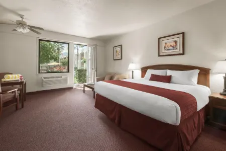 Palm Mountain Resort & Spa