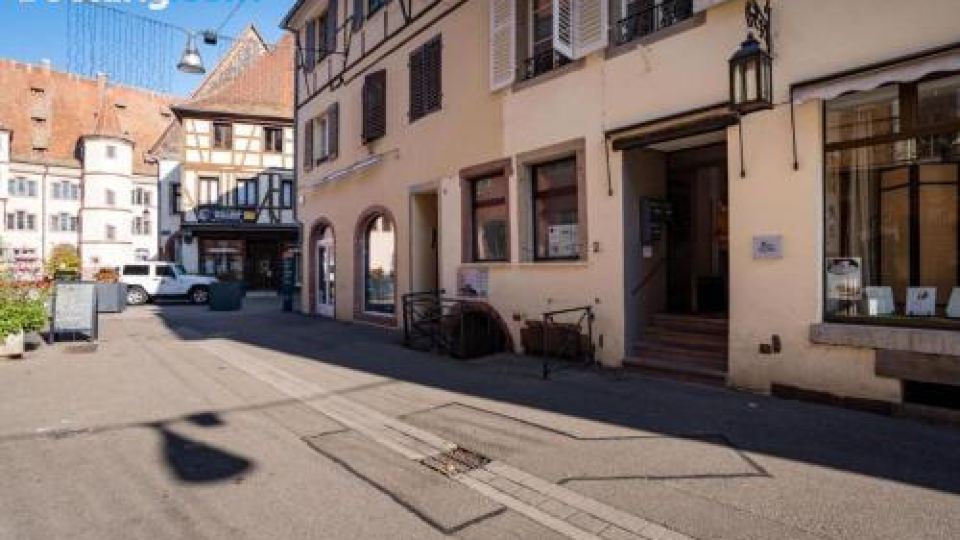 Gîte le Colombier Sélestat - 30Min EuropaPark
