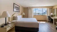 Emerald Beach Hotel Hotels in Corpus Christi