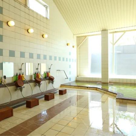 Shirako New Seaside Hotel