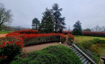 Hotel Villa Delle Rose - Malpensa