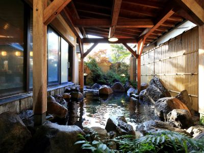 スパ・大浴場 山鹿温泉 清流荘の写真