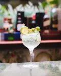 Hodelpa Garden Suites - All Inclusive - bar