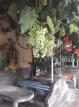 Ani Hotel Hotels in Сісіан