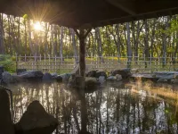 Phoenix Seagaia Ocean Tower - Hot Springs