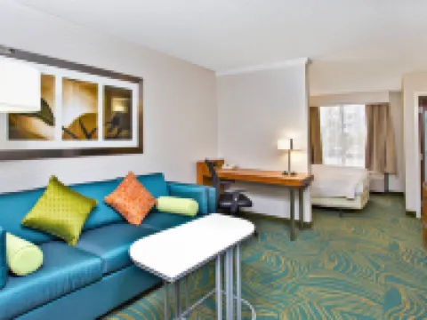 芝加哥西南布爾裏奇/欣斯代爾SpringHill Suites 酒店 布爾里奇酒店