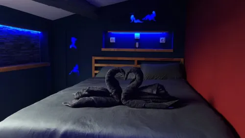 Romantic experience - Air-conditioned - 30 min from the sea. Ideal for a couple! Hotel a Pignans