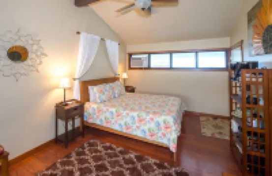 Experience the Island Paradise of Kauai's North Shore from Above the Treetops