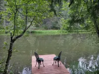 Little house in the woods, close to the lake,town and mountain.