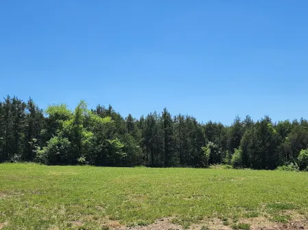 Couples Retreat with hot tub (cabin2)