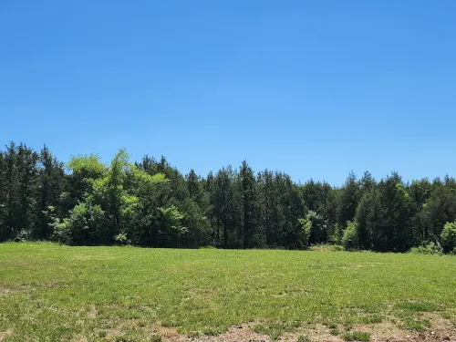 Couples Retreat with hot tub (cabin2)