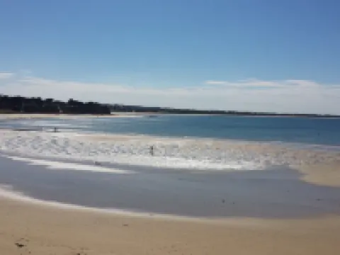 PARKSIDE BEACH HOUSE DOG FRIENDLY 450m BEACH Hotels in Torquay