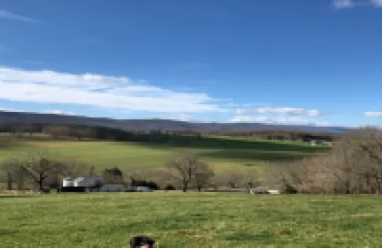 Way Up Acres and Lodging