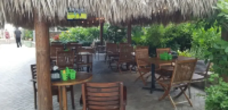 Lovely Beachfront Condo overlooking the Ocean, private jacuzzi, balcony & pool