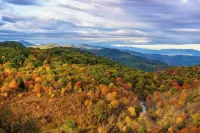 Royal Cottage Mountain Views, Deck & Close to Downtown AVL, Dog Friendly