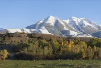 Cozy, Rustic Cabins near Chico Hot Springs & only 35 mins to YELLOWSTONE PARK!!