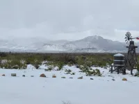 40 Acres of Solitude: Relax&Explore Near Big Bend