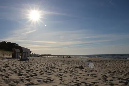 Beachfront apartment w. Terrace, sauna, wallbox, perfect for child+dog, fully fenced