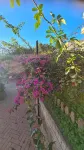 Home MA.RE Apartment in detached house less than 5 minutes walk from the sea