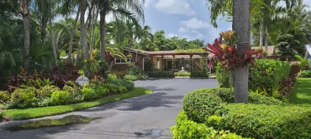 Pet Friendly Tropical Studio with Private Kitchen and Bath