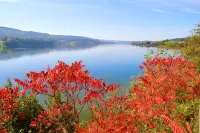LE GRAND TETRAS in a charming property in the heart of the Blue Spring area