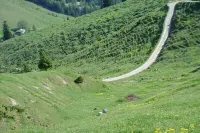 Ruhig Gelegene Fewo 03 - Rustikal und Modern Eingerichtet in Waldnähe Hotels in Achslach