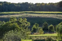 Charming Cottage on beautiful Farm & Vineyard