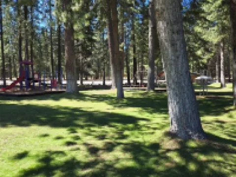 Newly updated Lake Almanor West home just minutes from the lake
