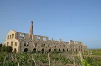 Terrace On the Park - "Carretteria"