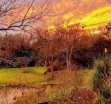 Circa 1900 Farmhouse Cottage - Pond - King Bed - Fenced - 8 Miles to Brenham Hotels in Chappell Hill