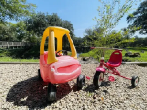 15 ACRE RIVER FRONT CABIN HOUSE ON THE SUWANNEE, WITH SPRING WALKING DISTANCE