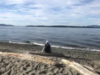 Adorable beach cabin within a few steps to a secluded beach! Hotels in Lopez