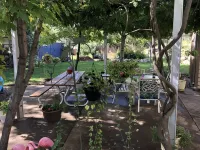 Bohemian Tree Casa