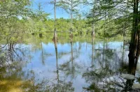 Drake Ln Hunting Club Hotels in Arkansas County