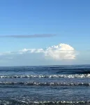 Family and Pet Friendly, steps from the beach