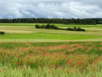 Lauterdörfle Hayingen in the middle of nature but still with every comfort Hotels in Hayingen