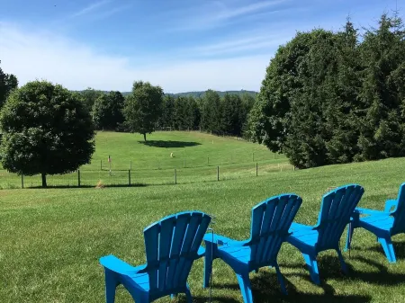 Ultimate privacy beside Sleeping Bear Dunes National Park, 3 miles to Empire