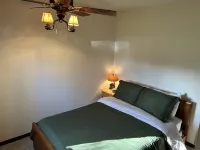 Year round cabin on level lot with dock