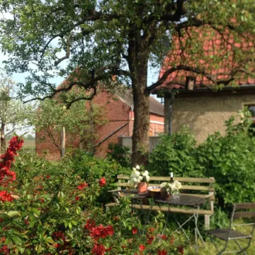 Vacation room Apfelbaum at the Hollerhof-Oderbruch
