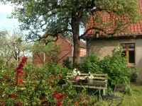Vacation room Apfelbaum at the Hollerhof-Oderbruch Hotels in der Nähe von Park Wollup