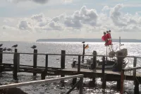 Unique idyllic holiday home under thatch on the Baltic Sea at Cape Arkona Hotels in Putgarten