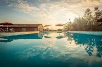 La Principessa  Tuscan farmhouse with pool on wine road of Montecarlo-Lucca - Pools