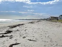 Fortune's Rocks Beach House Hotels in Biddeford